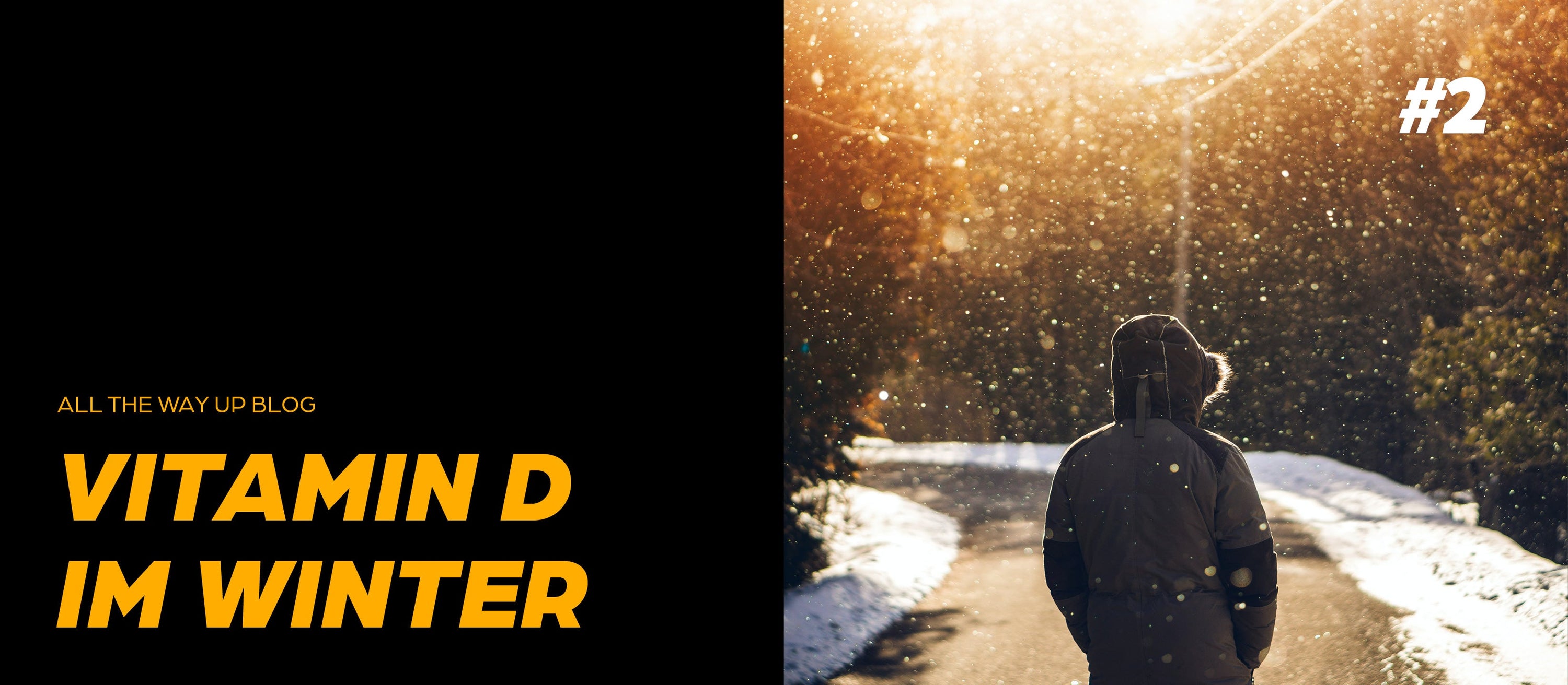 Person mit Winterjacke geht bei tief stehender Sonne durch verschneiten Waldweg – Symbolbild für Vitamin-D-Mangel im Winter